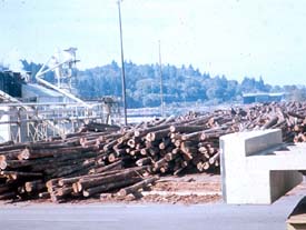 Secure, stable log piles in storage yard