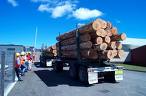 Log Trucks 18 wheel Rear View