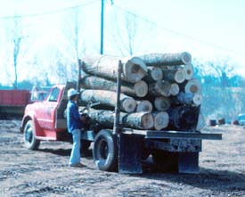Log Trucks medium duty