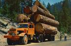 Log Trucks 18 wheeler
